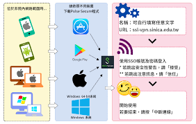 延缓大脑衰老比想的更简单